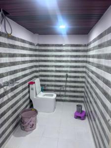 a bathroom with a toilet in a room with striped walls at Alpine Homestay in Joshīmath