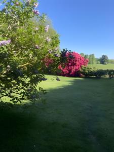 a green field with pink flowers and trees at Sous Les Bruyères in Sainte-Marguerite +2 photos