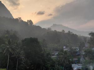 a view of a jungle with trees and mountains at Casa Inn Homestay in Munnar
