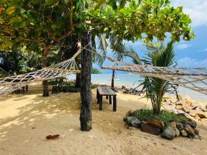 a hammock tied to a tree on a beach at Lokobe Djema Forest Lodge in Nosy Be +4 photos