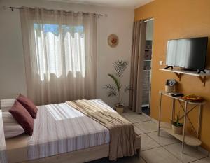 a bedroom with a bed and a flat screen tv at lagon studio ermitage in Saint-Paul