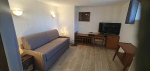 a living room with a couch and a television at Rosabelle in Beaulieu-sur-Dordogne