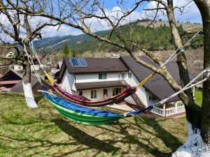 a hammock hanging from a tree in front of a house at La Marița in Grinţieş
