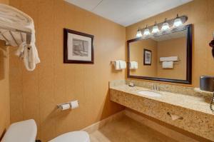 a bathroom with a toilet and a sink and a mirror at Bearskin Lodge on the River in Gatlinburg +32 photos