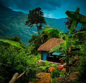 a small house with a thatched roof on a mountain at The Cloud door in Perumālmalai +4 photos