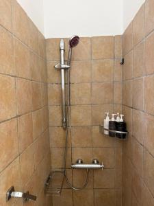 a shower with a shower head in a bathroom at Casa di Spetses in Spetses +27 photos