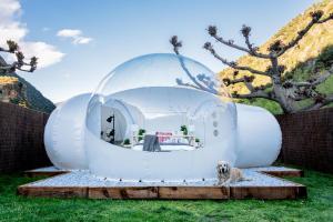 a dog laying in a dome house on the grass at Burbujas a las puertas de Andorra in Argolell
