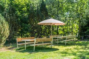 two benches and an umbrella in the grass at Großer Garten mit Grill,-Spiel und Sitzmöglichkeiten-umgeben von schöner Natur-Ferienhaus Albmatte in St. Blasien