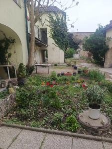 a garden with flowers and plants in front of a building at Spacious Heritage Apartment for Groups in Bruck an der Leitha