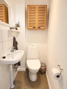 a bathroom with a white toilet and a sink at Lejlighed midt i Thisted in Thisted