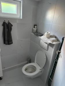 a white bathroom with a toilet and a window at Sarajevo Days in Binježevo