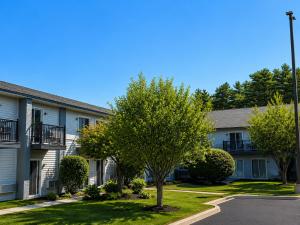 a apartment building with a tree in front of it at Spark By Hilton Lake George Outlets in Lake George