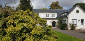 a white house with a tree in front of it at Sweety Loft - Hébergement avec SPA privé in Friville-Escarbotin