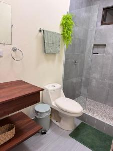 a bathroom with a toilet and a shower at Hospedaje Río Palomo in Orosí