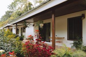 a house with a porch with a table and some plants at Hospedaje Río Palomo in Orosí