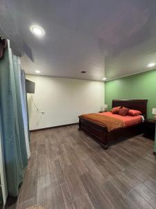 a bedroom with a bed and a green wall at Hospedaje Río Palomo in Orosí