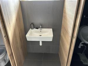 a bathroom with a sink and a toilet at MAX Jazero in Trstice +22 photos