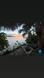 a chair sitting next to a tree next to a body of water at Tiare and Turtle in Bora Bora +24 photos