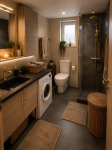 a bathroom with a toilet sink and a washing machine at RoseArt Nest Studio in Ljubljana +13 photos
