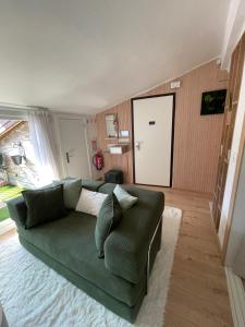 a living room with a green couch and a mirror at Le Grenier - Appartement vacances in Breil-sur-Roya