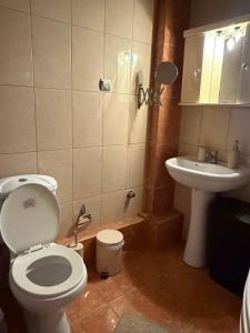 a bathroom with a toilet and a sink at Kali's home in Komotini +14 photos