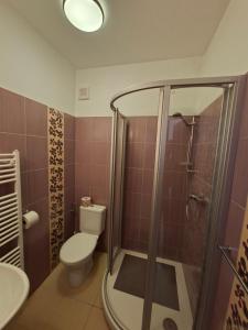 a bathroom with a shower and a toilet and a sink at Pension Chalupka ll with a panoramic view of Spiš Castle in Spišské Podhradie +25 photos