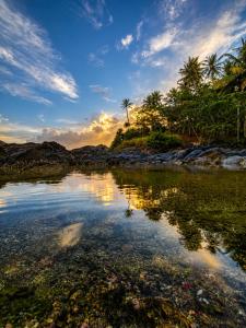 a body of water with a palm tree in the background at Coastal Breeze Talalla in Talalla South