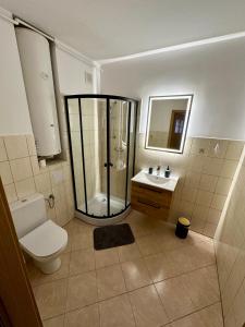 a bathroom with a shower and a toilet and a sink at Nad Wadągiem in Kieźliny
