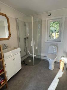 a bathroom with a shower and a toilet and a sink at Tiny House with ocean view in Näs