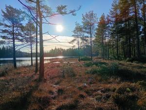 a field with trees and a body of water at Seeblickwohnung Aäng 6 Pool, Billard in Mjöhult +4 photos