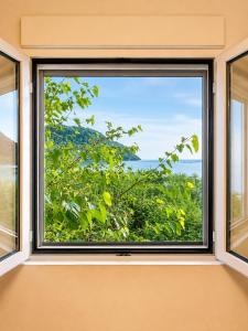 a window with a view of a tree at Apartment Lake Oasis ''Oko'' in Krnjice