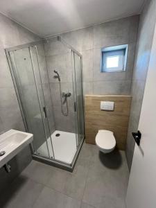 a bathroom with a shower and a toilet and a sink at Hakro Jevisovka in Jevišovka