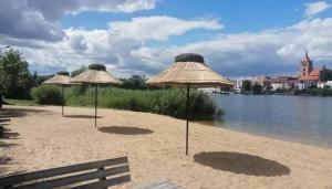 three straw umbrellas on a beach near the water at Sercowe Zacisze in Chełmża +2 photos