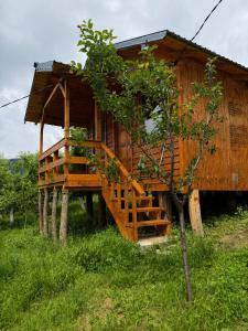 a tree house with a staircase leading to it at Cabanele din livadă in Corbi +10 photos