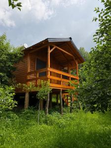 a wooden cabin in the middle of a field at Cabanele din livadă in Corbi