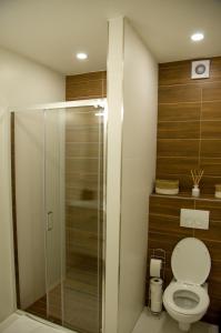 a bathroom with a toilet and a glass shower at Manor in Stará Lesná +9 photos