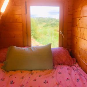 ein Bett mit einem Kissen in einem Zimmer mit einem Fenster in der Unterkunft Lakeside view in Galway