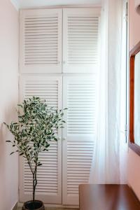 a plant sitting next to a white closet with a window at Corfu Glyfada Beach Apartment 40 in Glyfada +46 photos