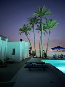 a resort with palm trees and a swimming pool at maison rachid in El Guecheïne