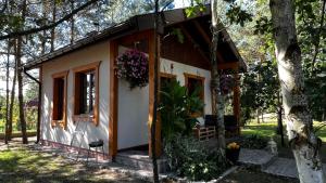 a small house in the woods with a tree at Domek 2-3 osobowy in Lejno