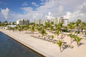 a row of palm trees on a beach with buildings at Alaia Belize, Autograph Collection in San Pedro