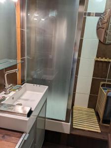 a bathroom with a sink and a shower at L'évasion Marine in Camiers
