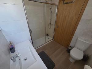 a bathroom with a shower and a toilet and a sink at Paisagem&Charme in Celorico de Basto +13 photos