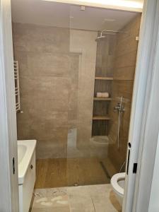 a bathroom with a shower and a toilet and a sink at Casa marsa in Gammarth