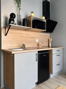 a kitchen with a counter with a sink and a microwave at Le Bourg - Studio 2pers -Climatisation et terrasse in Bourg-lès-Valence