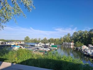 a bunch of boats are docked in a river at Cuki Apartmanház in Sarud