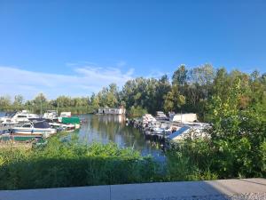 a bunch of boats are docked in a river at Cuki Apartmanház in Sarud
