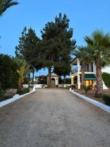 a driveway leading to a house with palm trees at Casa Canciones in Alzira