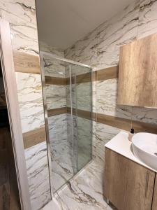 a bathroom with a glass shower and a sink at Iva Apartment in Kumbor +4 photos