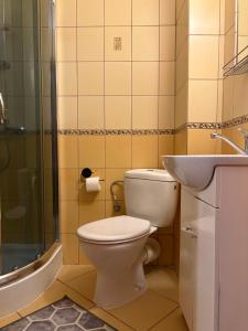 a bathroom with a toilet and a sink and a shower at Pokoje Gościnne DANA in Łeba +19 photos